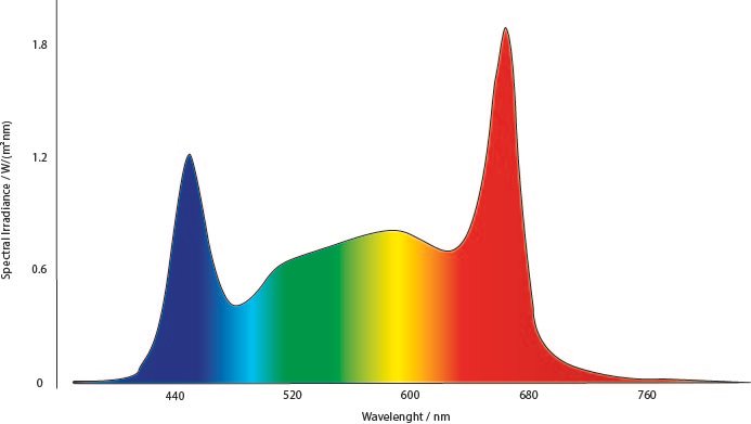 full spectrum